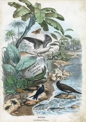 Titelpagina, 1863-79